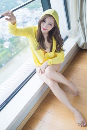 探索者的羽翼