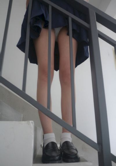 舒克贝塔第二季免费观看